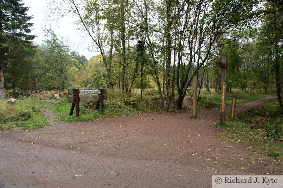 The Site of Drybrook Road Station